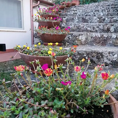 Podere I Cavalieri