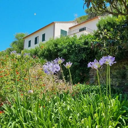Villa Podere I Cavalieri Sant'Anna (Isola d'Elba)
